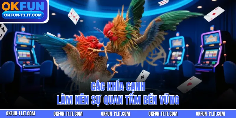 Các khía cạnh làm nên sự quan tâm bền vững