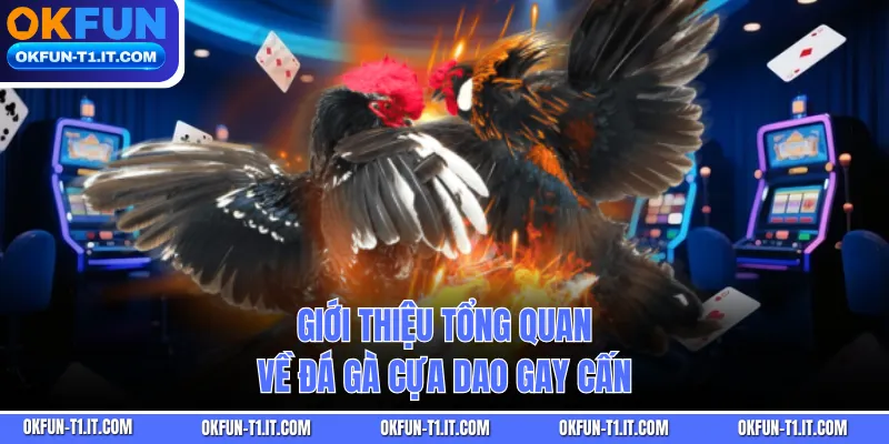 Giới thiệu tổng quan về đá gà cựa dao gay cấn 